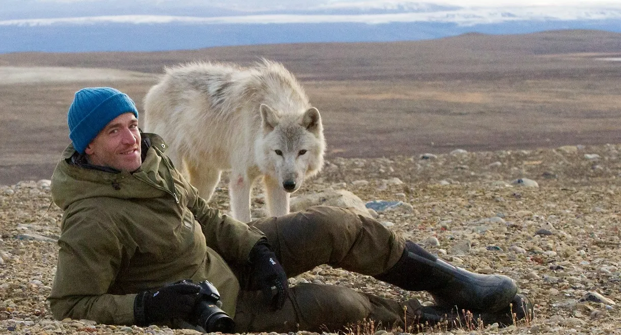 Snow Wolf Family and Me