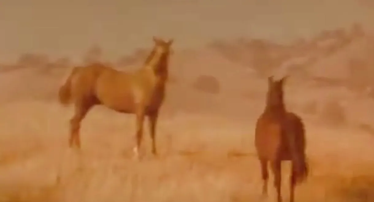 Iron and Horse