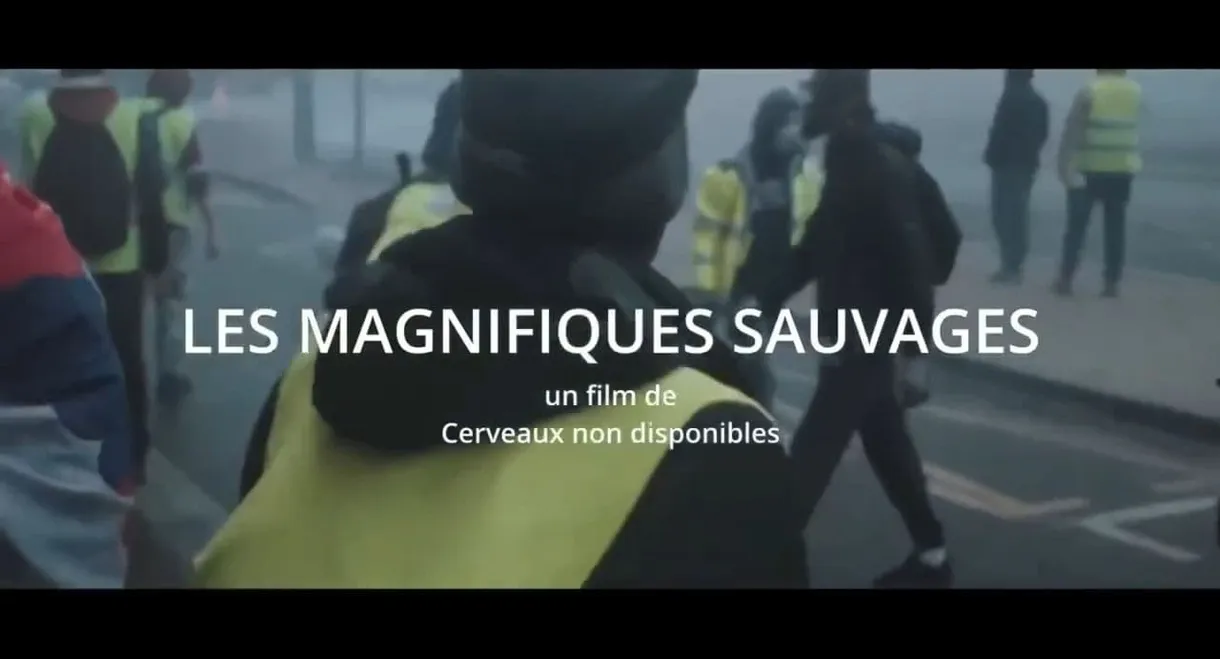 Les Magnifiques sauvages