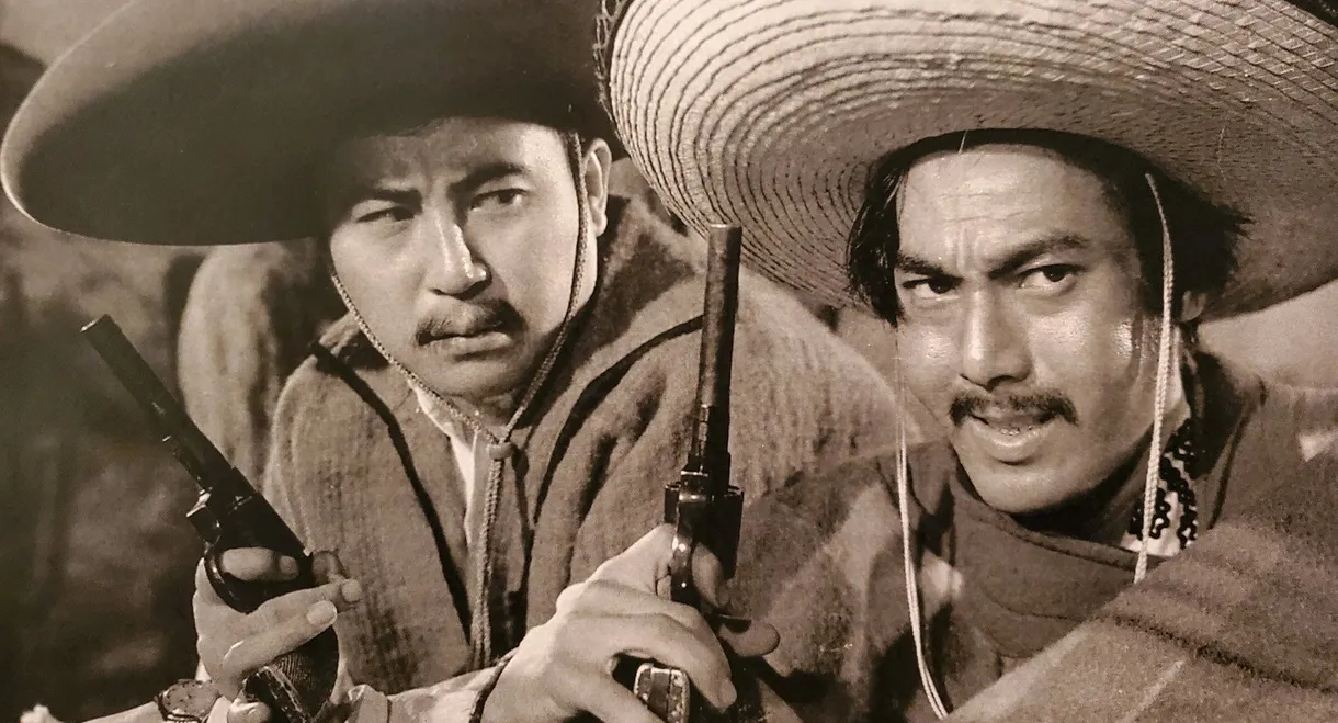 Mexico Drifter