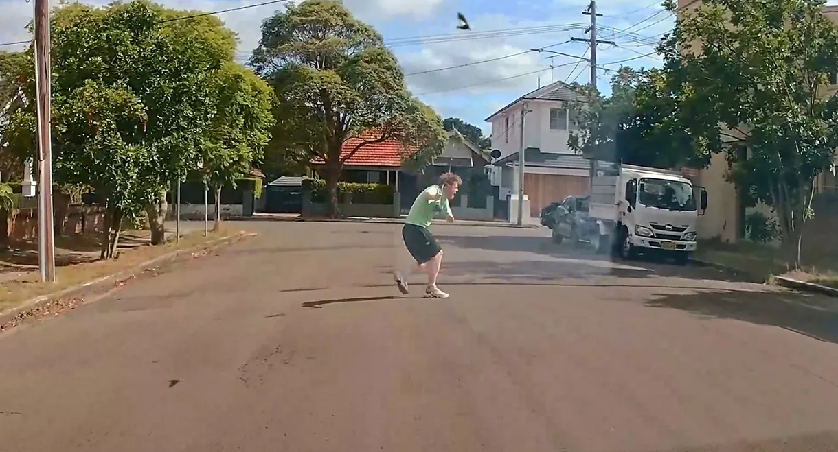 Dashcamera Obscura