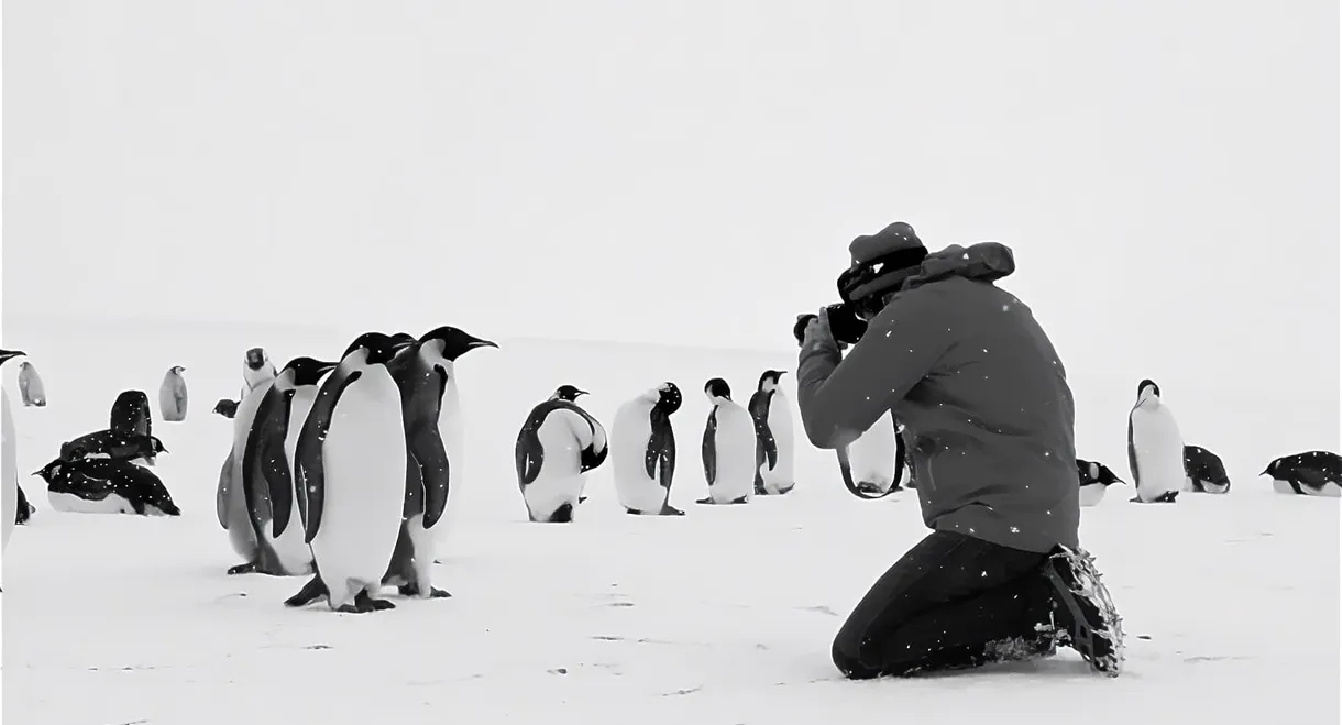 Antarctica Calling