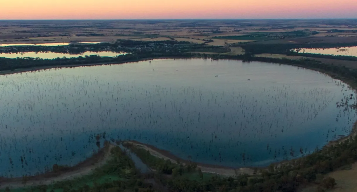 The Lake of Scars