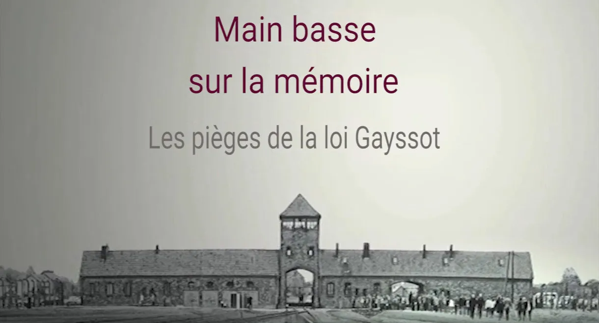 Main basse sur la mémoire, les pièges de la loi Gayssot