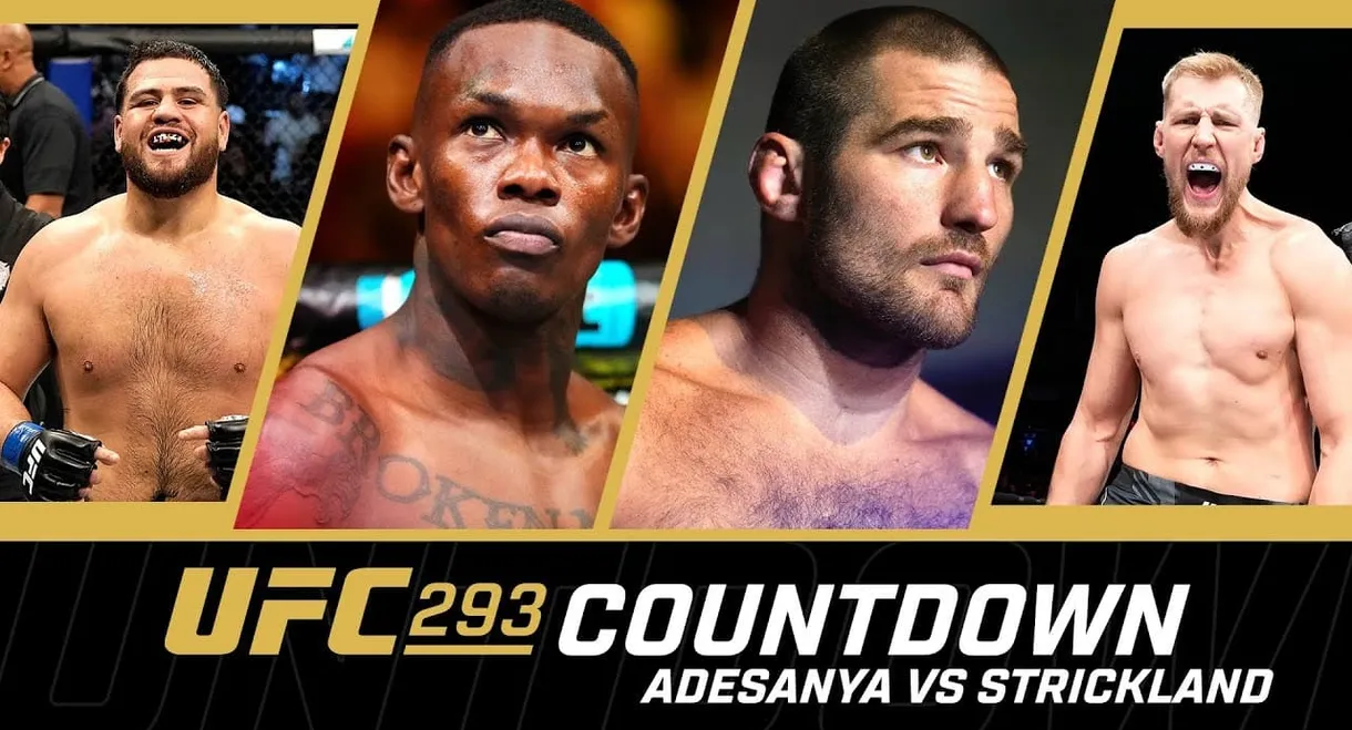 UFC 293 Countdown