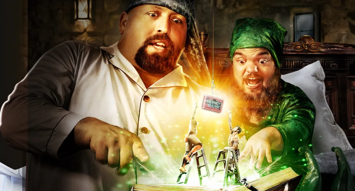 WWE Money in the Bank 2011