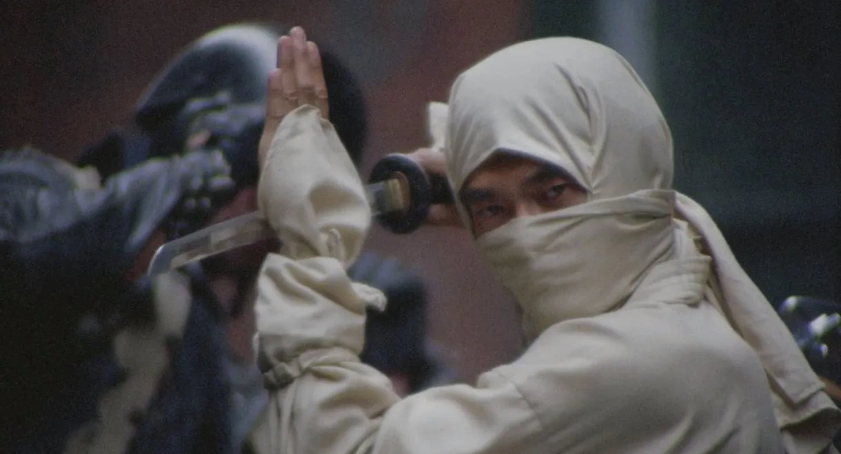 New York Ninja