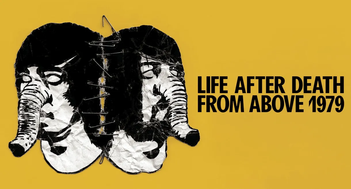 Life After Death from Above 1979