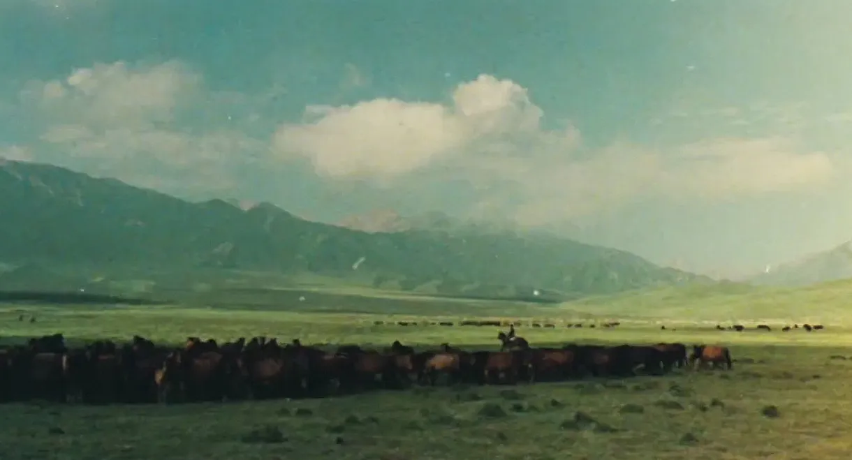 The Herdsman
