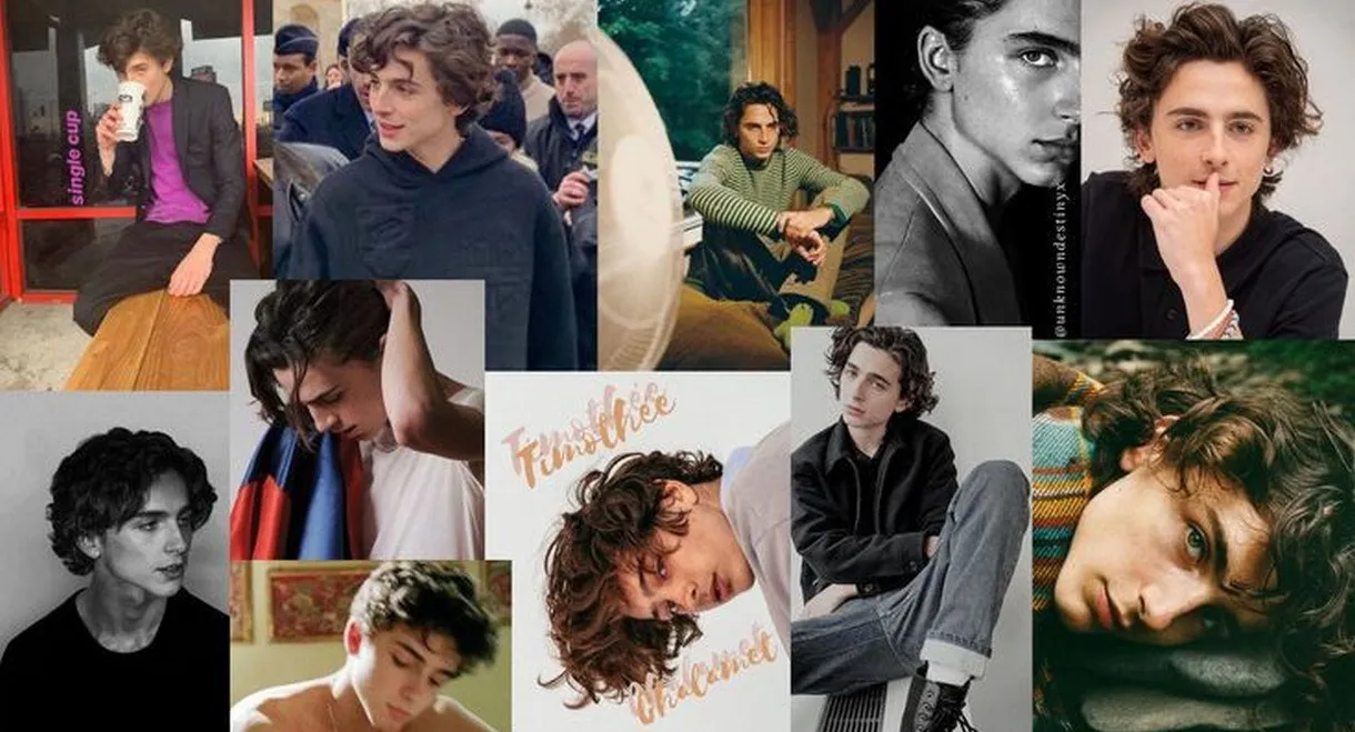 The True Story of Timothée Chalamet