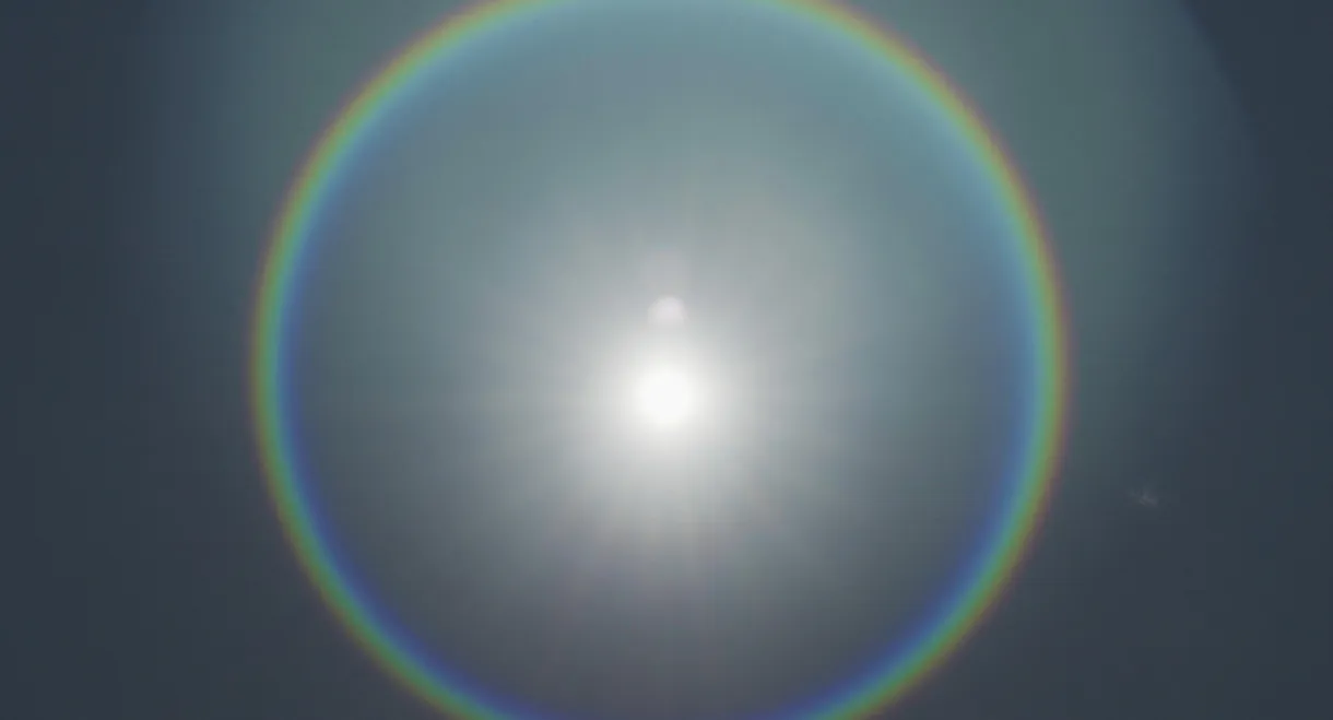 This Bright Light