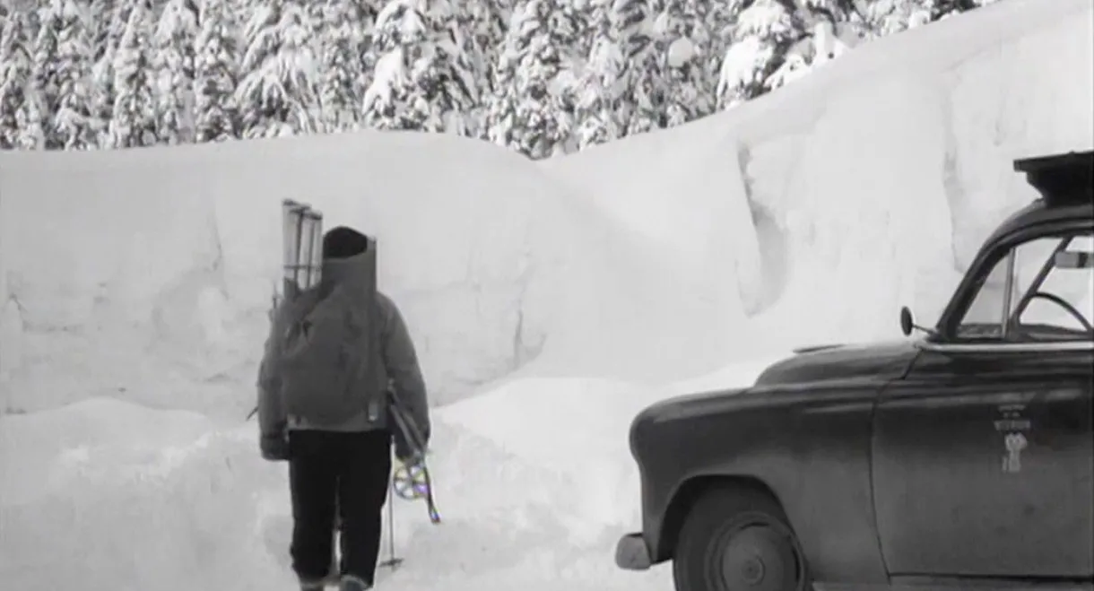 White Peril