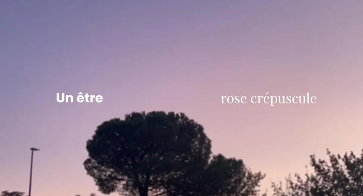 Un Être Rose Crépuscule