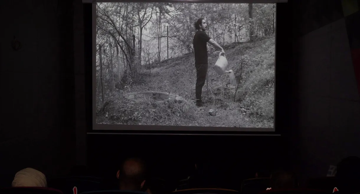 Magic in cinema