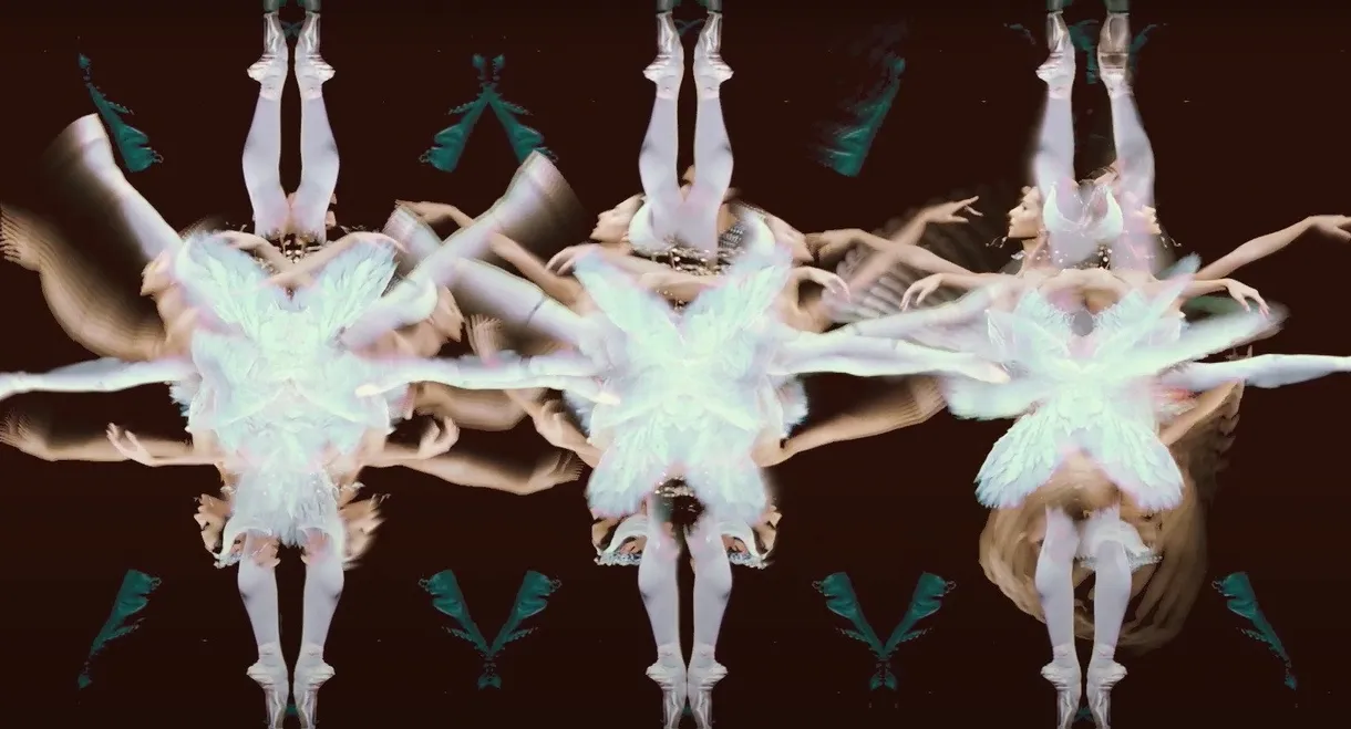 Cygnes