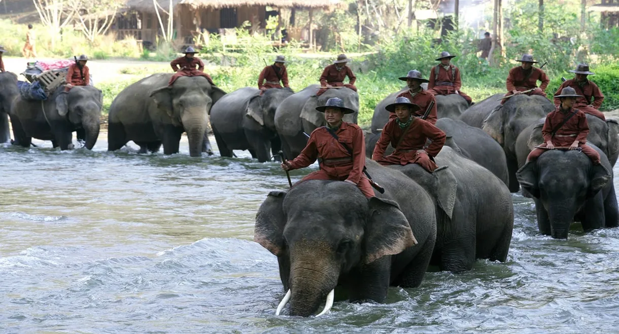 Sunny and the Elephant