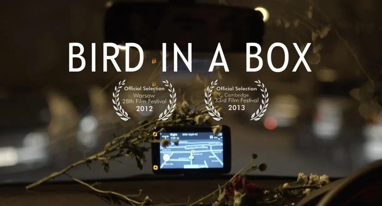 Bird in a Box