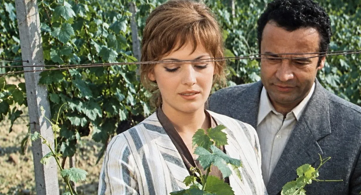 Wine Working