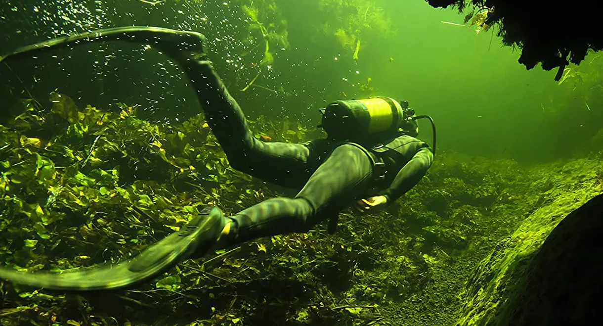 Underwater Okavango