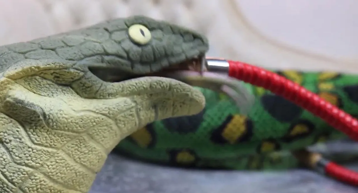 Stoner Snakes