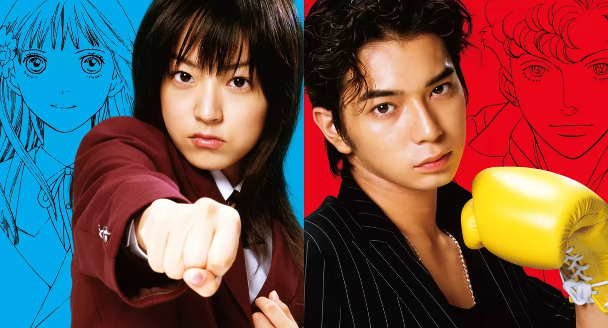 BOYS OVER FLOWERS
