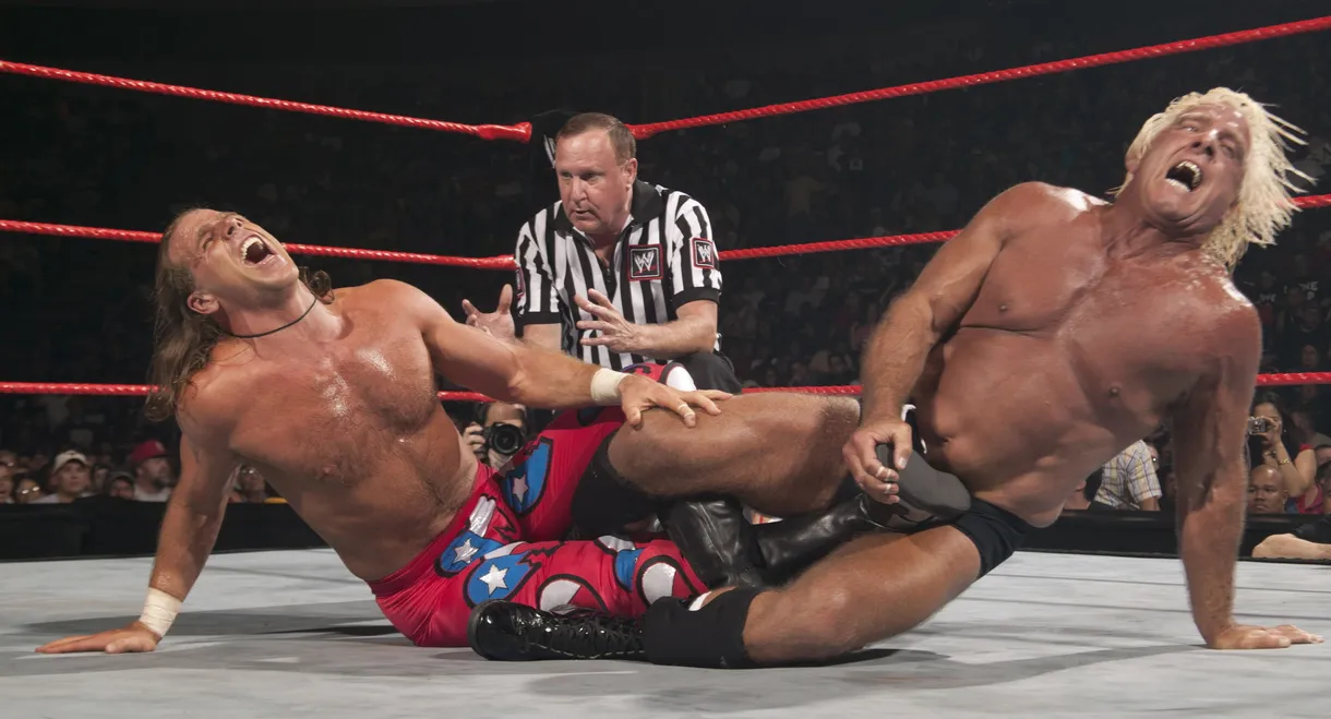 WWE Bad Blood 2004