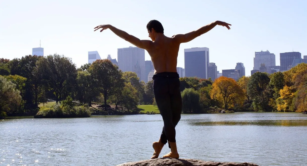 Anatomy of a Male Ballet Dancer