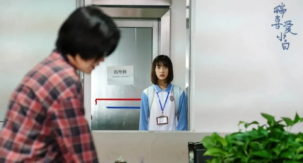 Rui Loves Xiaobai