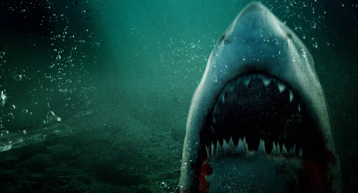 Lone Star Shark 2