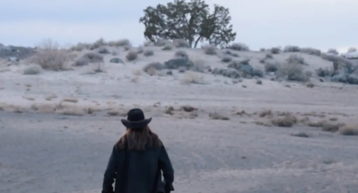 Man in the Mesa