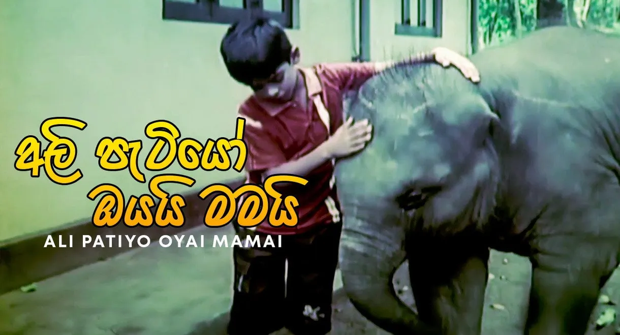 The Baby Elephants Are Yours and Mine
