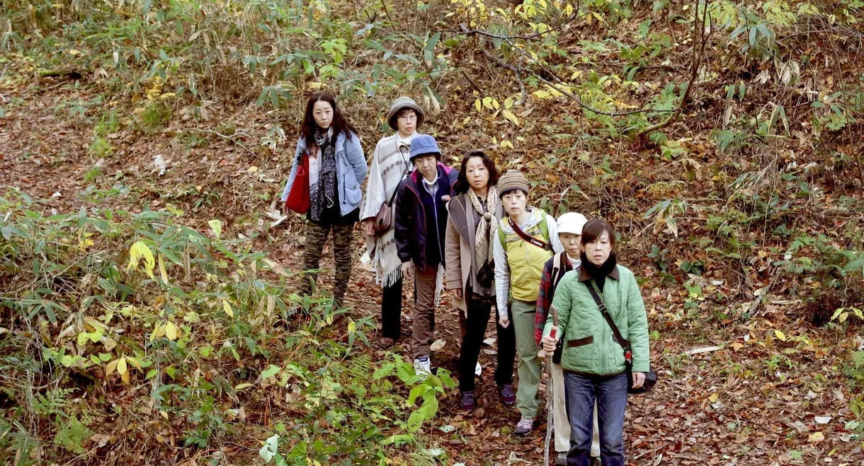 Ecotherapy Getaway Holiday