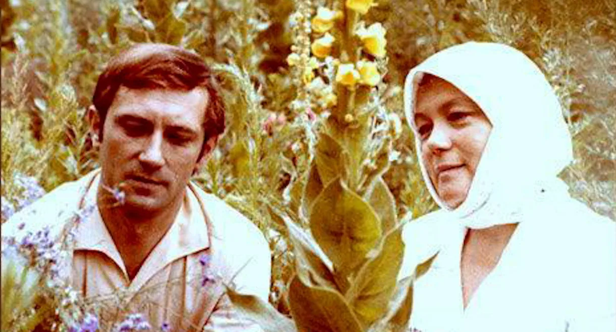 In Midsummer