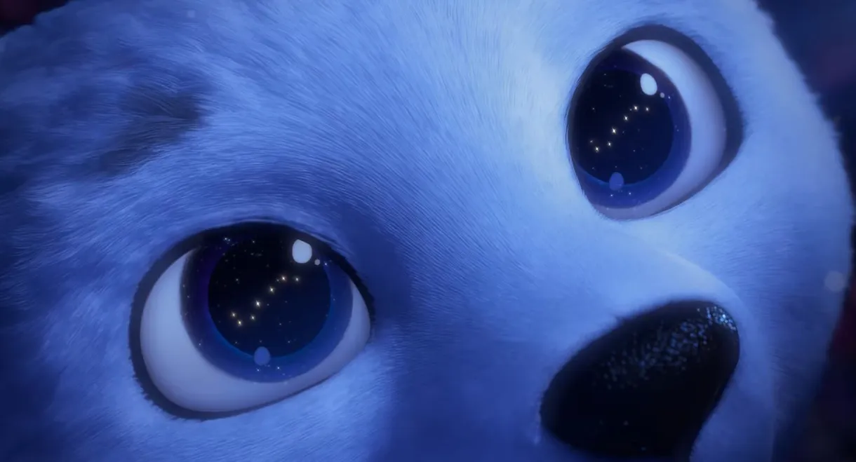 Polar