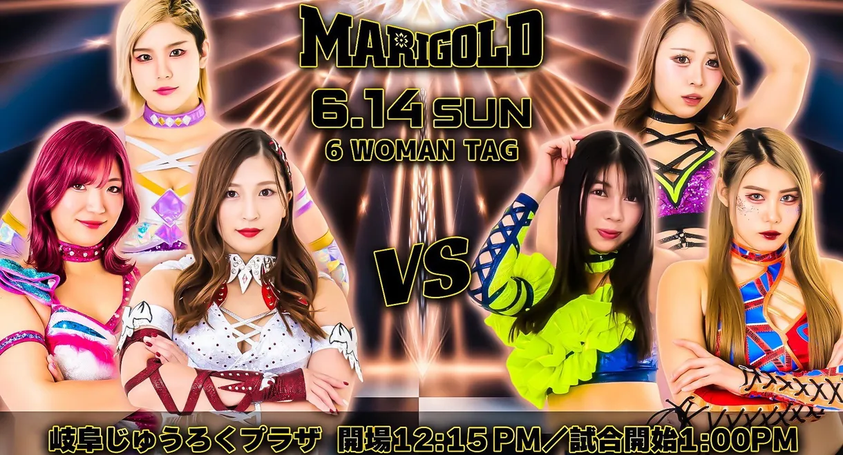 Marigold Shining Attack 2026 ~ Day 13