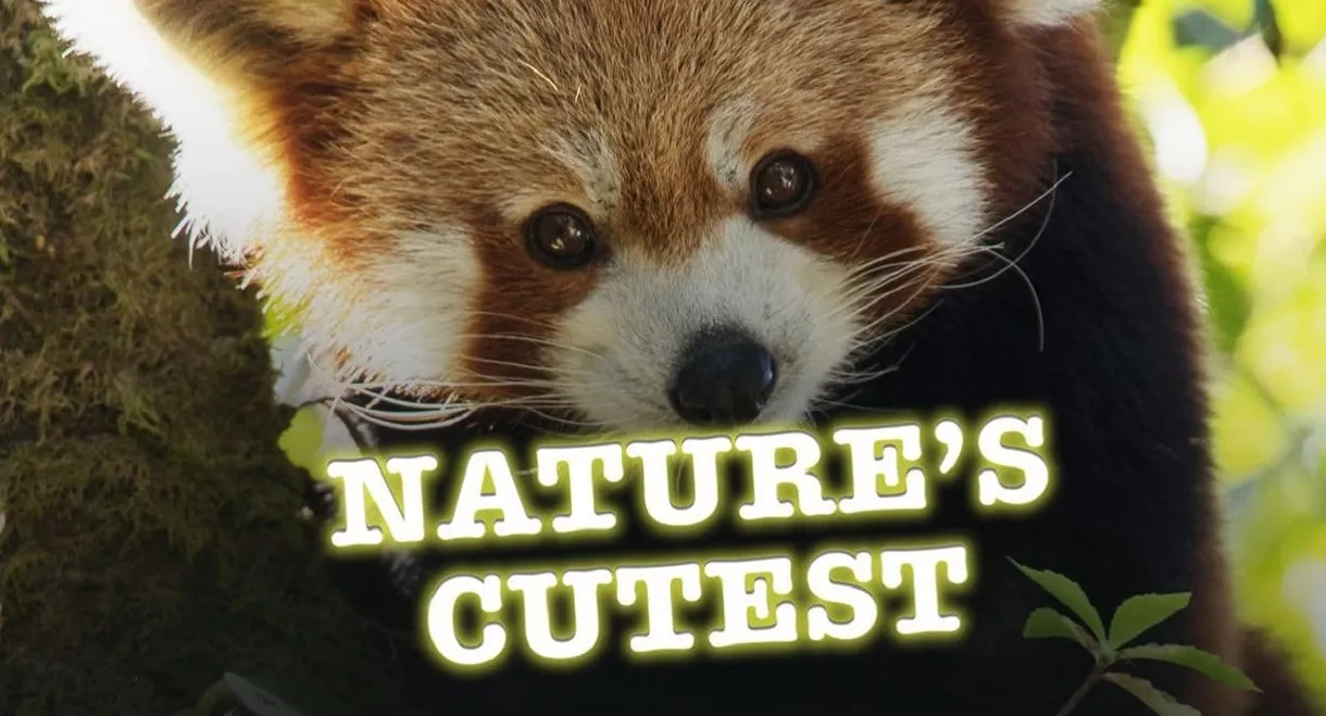 Nature's Cutest