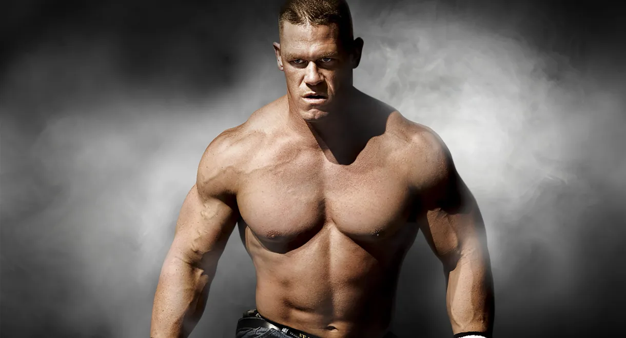 WWE Survivor Series 2008
