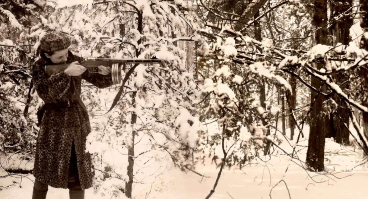 Four Winters: A Story of Jewish Partisan Resistance and Bravery in WWII