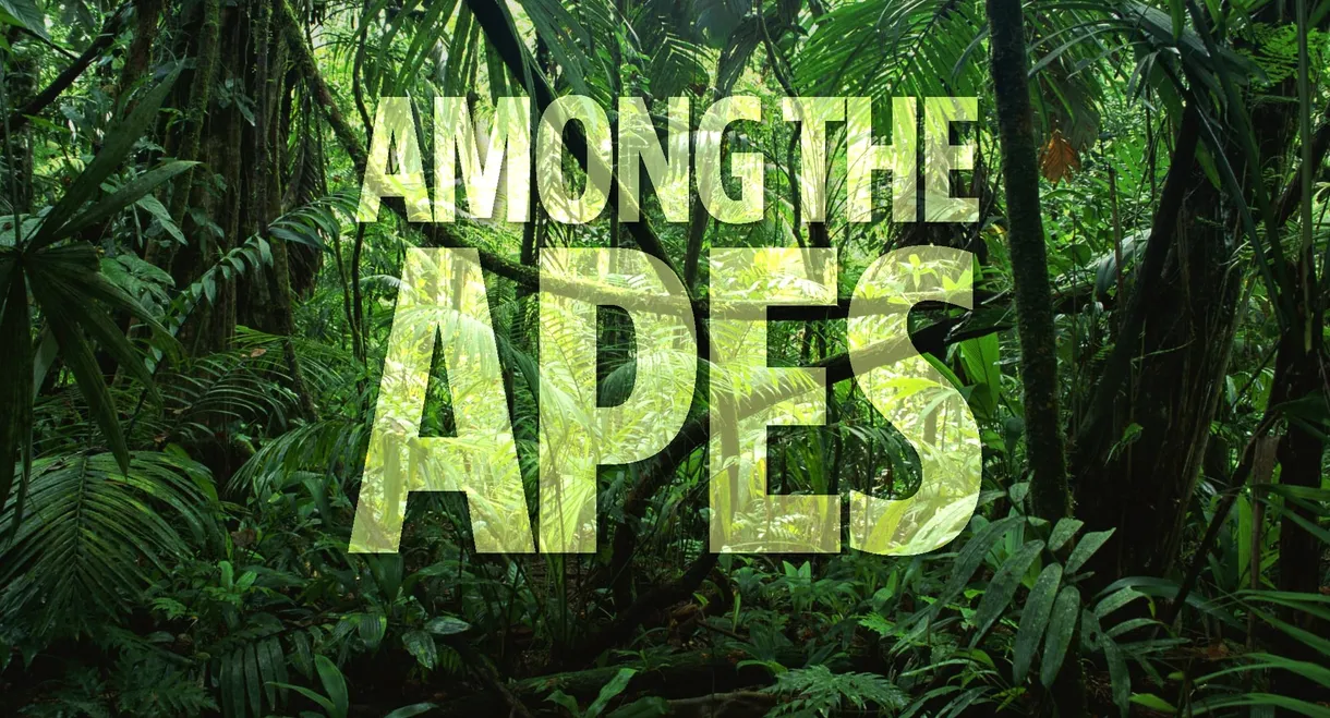 Among the Apes