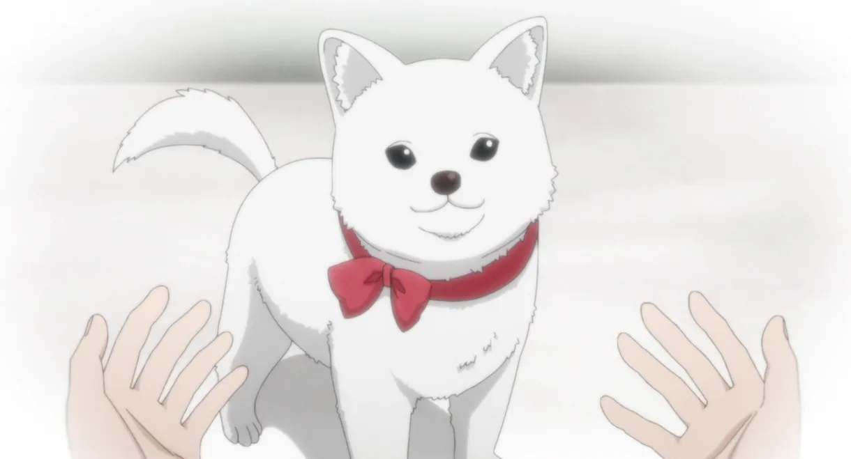 Kinokoinu Mushroom Pup