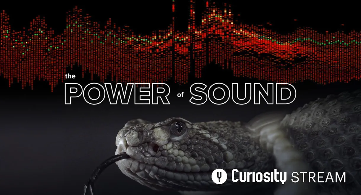 The Power of Sound
