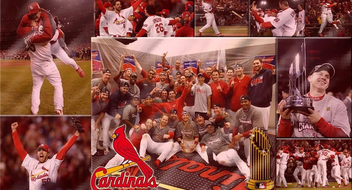 2006 St. Louis Cardinals Baseball Heaven: A World Championship Season