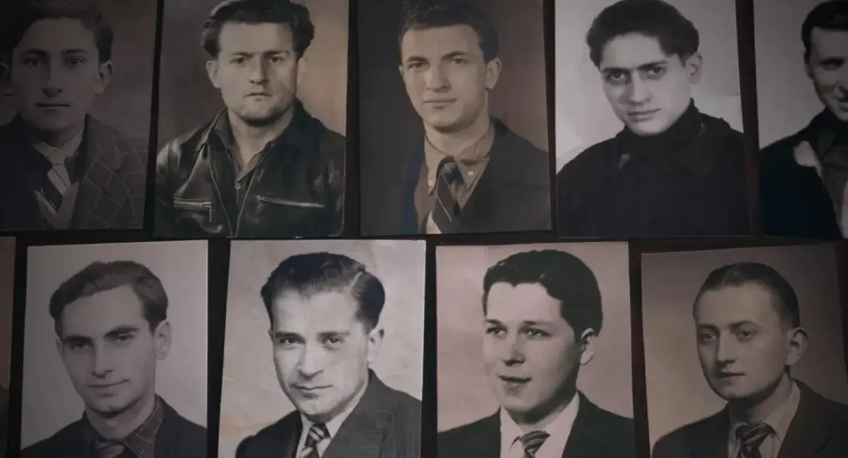 S.T.O. Les oubliés de la victoire