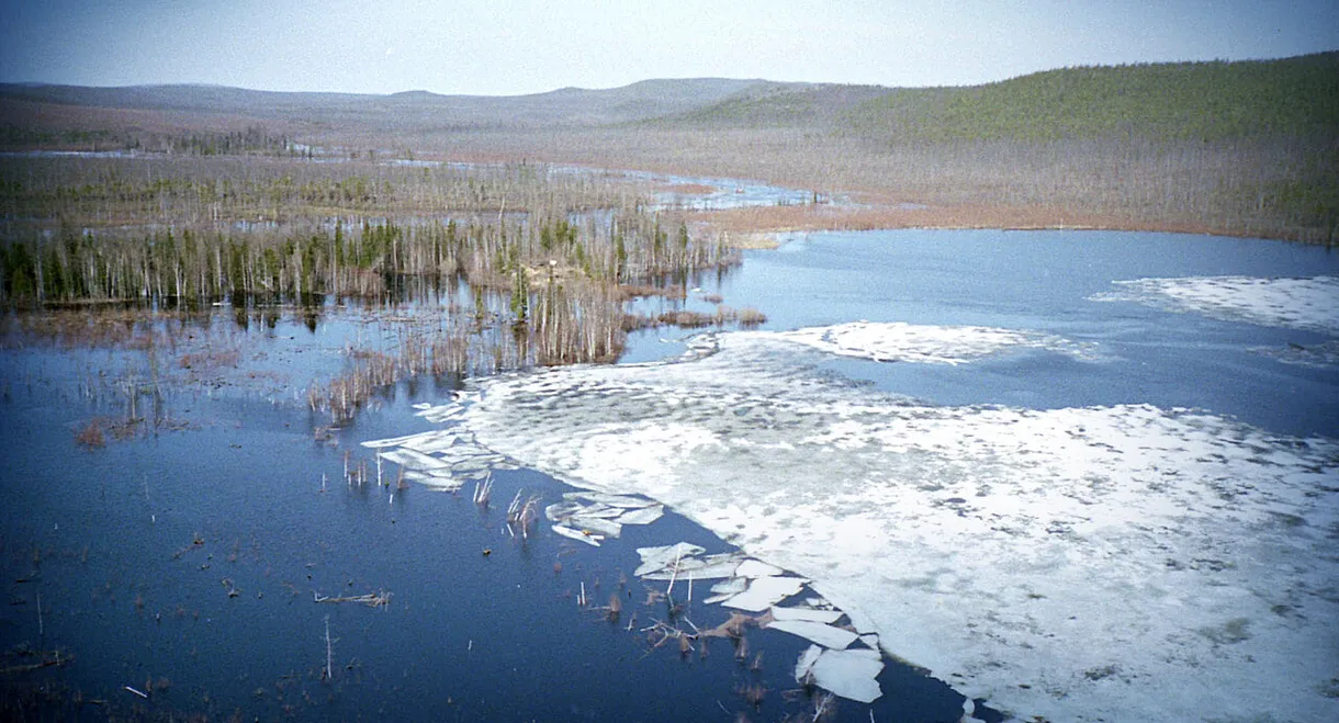 Big Bang in Tunguska