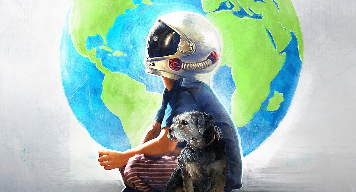 Wonder