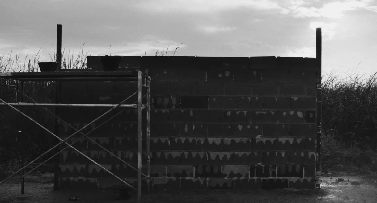 The Construct