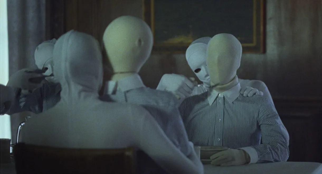Discipline