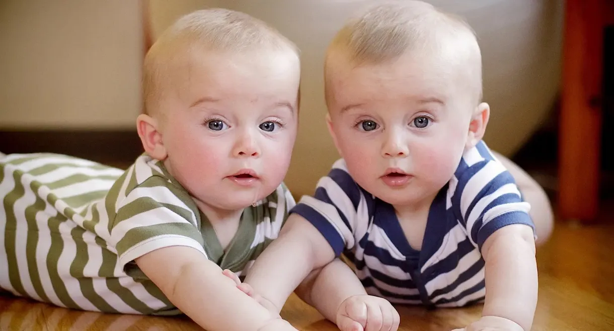 Secret Life of Twins