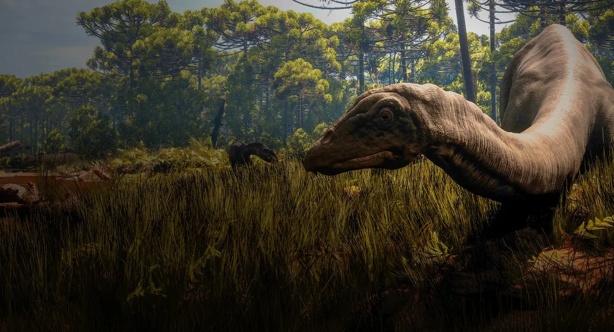 Secrets of the Jurassic Dinosaurs