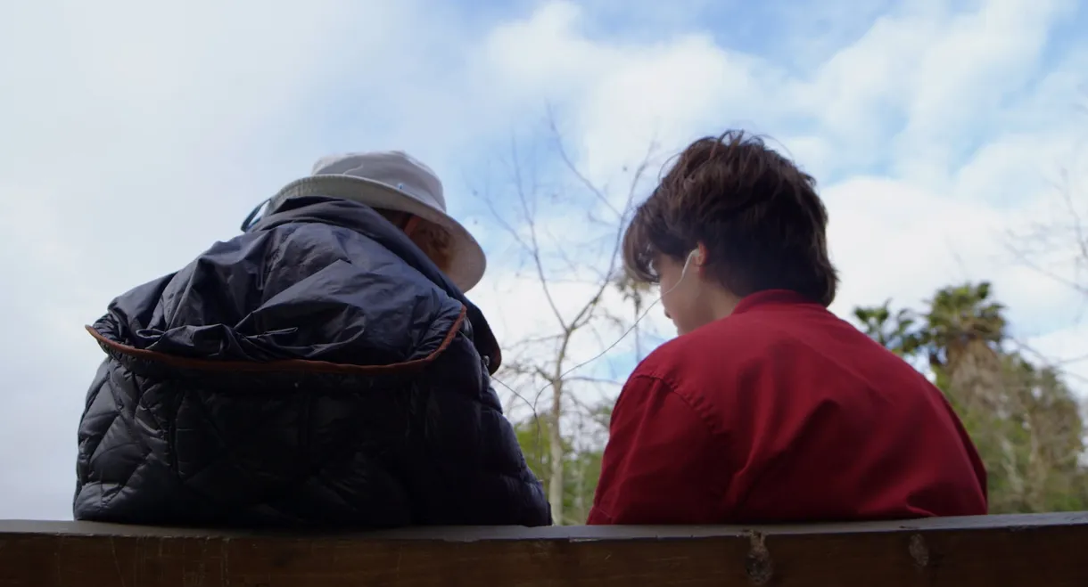 Perspectives on a Park Bench